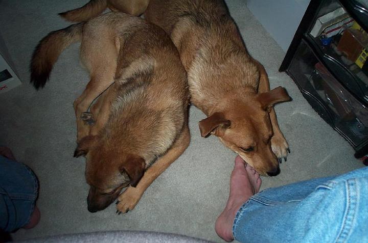 foot warmers.jpg